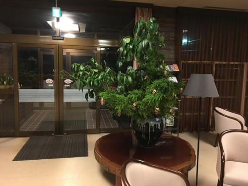 風の妙夕食1