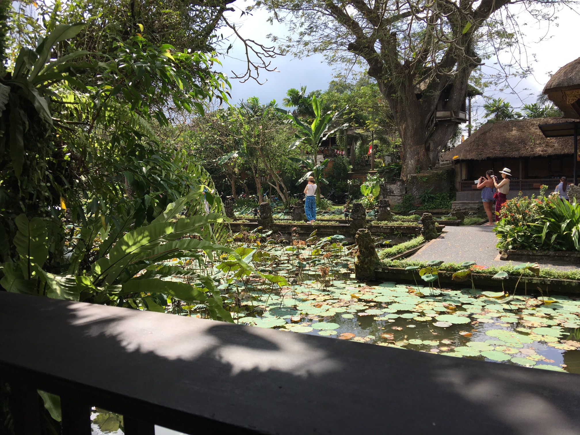 ubudo's Lotus Cafe1