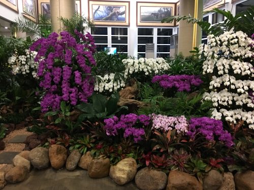 ングラライ国際空港で花