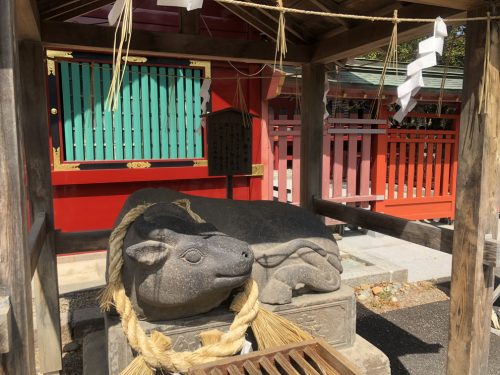 塩釜神社 牛