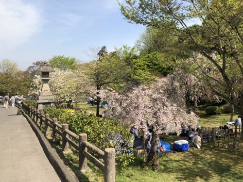 塩釜神社 花祭り 花見