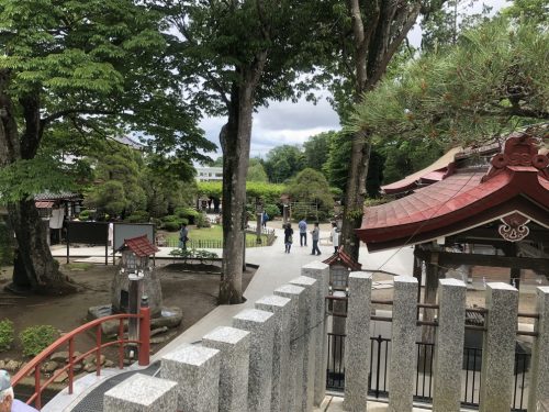 金蛇水神社から見た風景