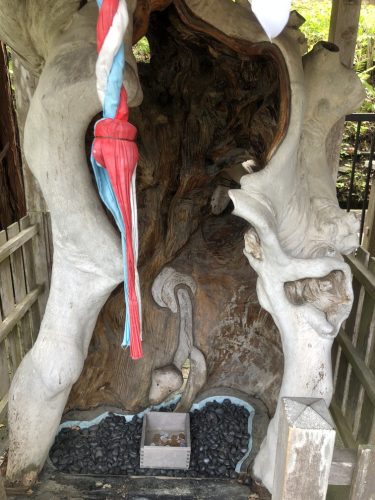 金蛇水神社の弁財天左側の木